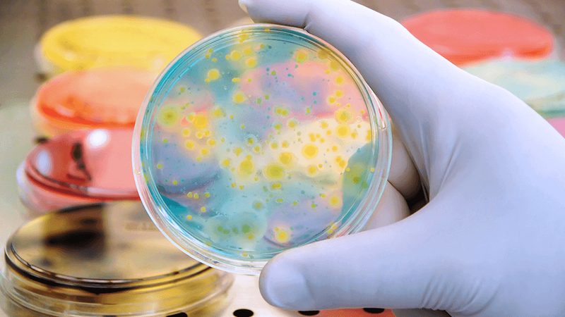 生物医药研发外包：行业标准揭秘与趋势洞察