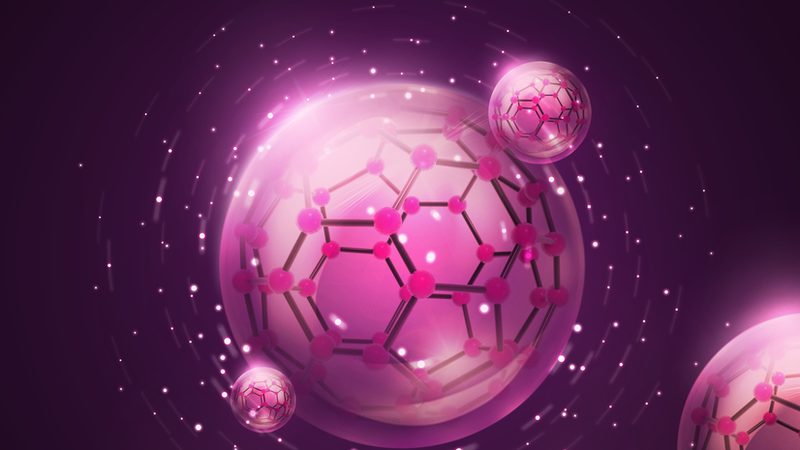 抗体纯化服务：揭秘影响服务周期的关键因素
