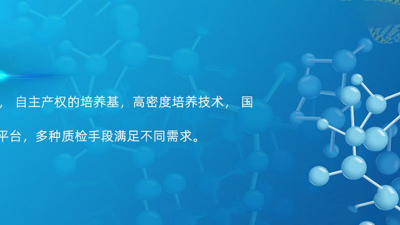 国产培养基：抗体生产中的得力助手