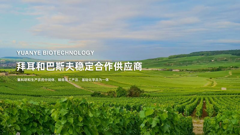 生物医药外包工艺流程规范标准的解析与实施