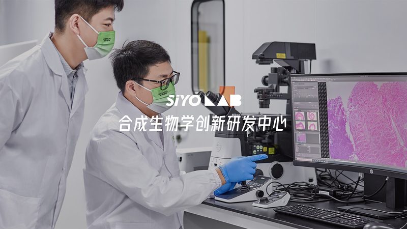ADC药物CDMO生产厂家：揭秘ADC药物生产背后的关键因素
