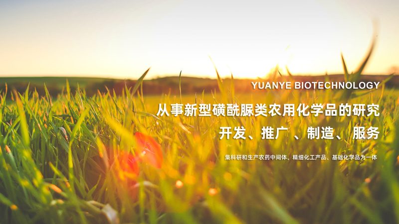 离心管代理区域限制：揭秘背后的合规与市场逻辑**
