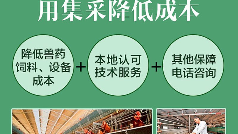 细胞工厂操作流程揭秘：从原理到实践**