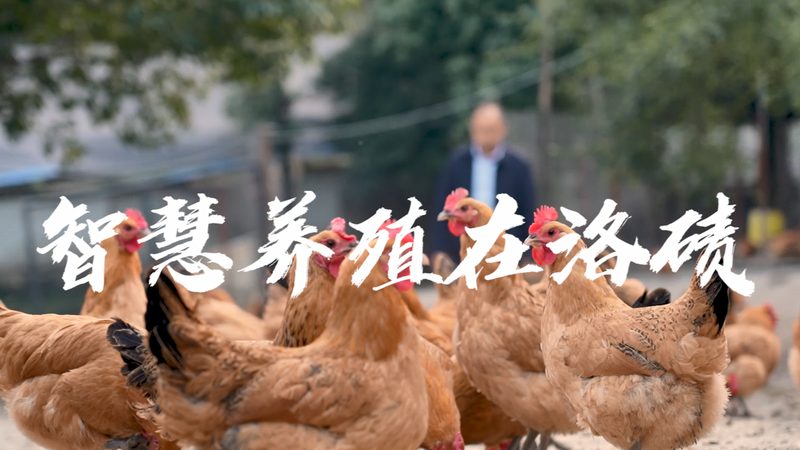 引物合成怎么选，先看用途再谈规格