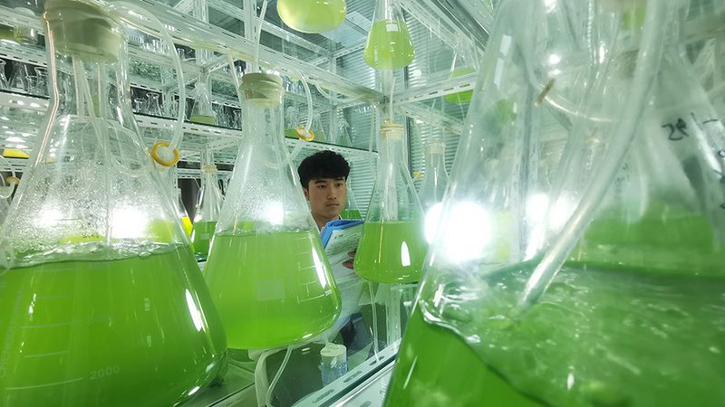 DNA连接酶失效原因解析：揭秘影响酶活性的关键因素